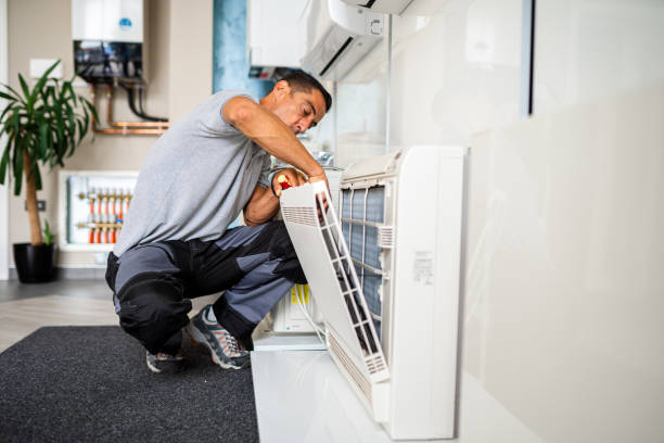 Best Home Air Vent Cleaning  in Ak Chin Village, AZ